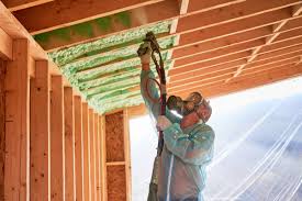 Best Insulation Removal  in Rockingham, NC